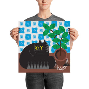 dreamer cat poster bellfish in realtà aumentata